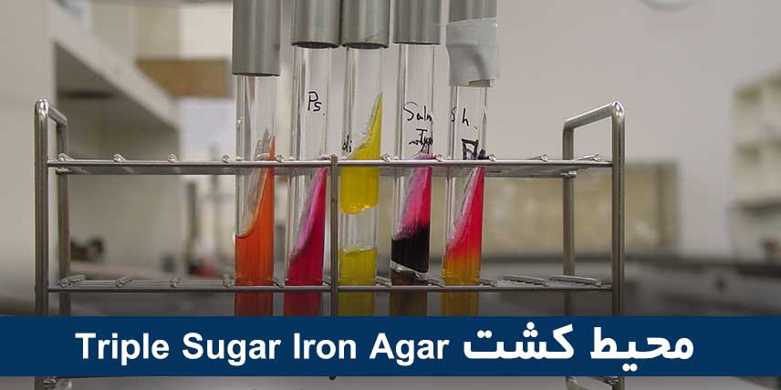 محیط کشت Triple Sugar Iron Agar