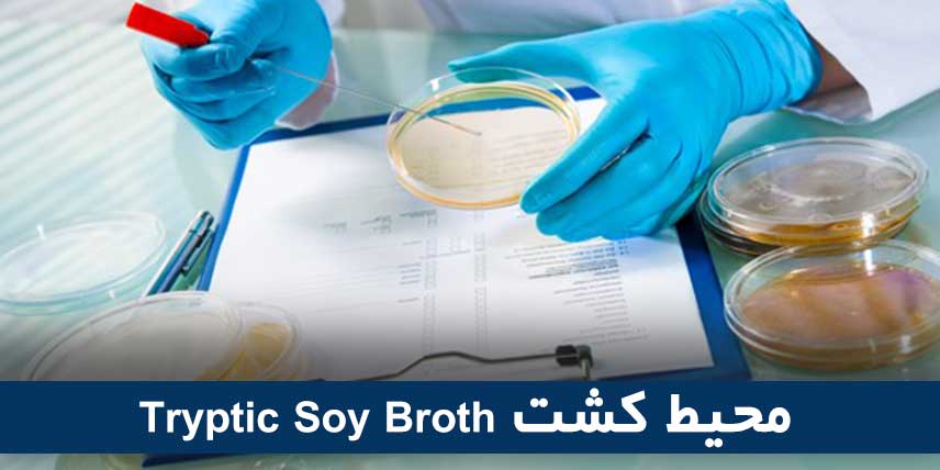 محیط کشت (Tryptic Soy Broth (TSB
