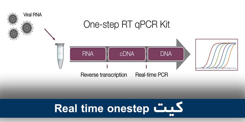 کیت Real time onestep 