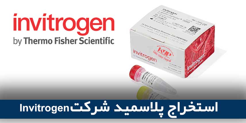 استخراج پلاسمید شرکت Invitrogen