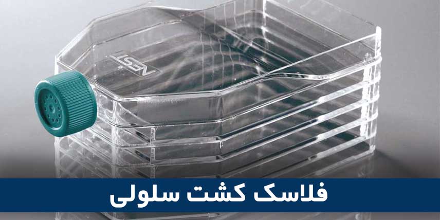 فلاسک کشت سلولی