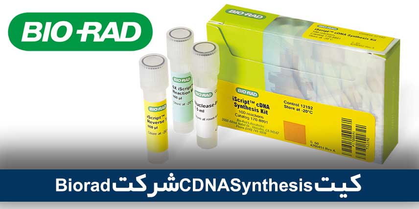 کیت CDNASynthesis شرکت Biorad