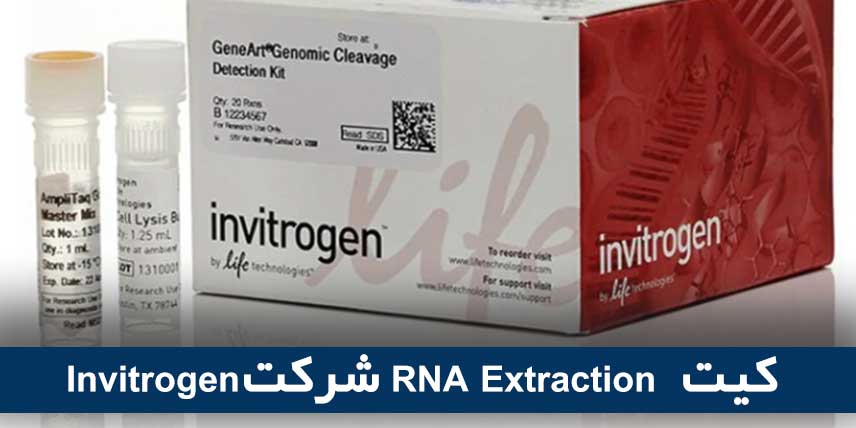 کیت RNA Extraction شرکت Invitrogen