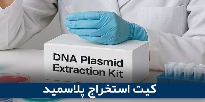 کیت استخراج پلاسمید