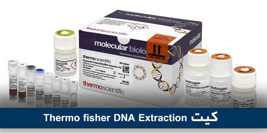 Thermo fisher DNA Extraction کیت