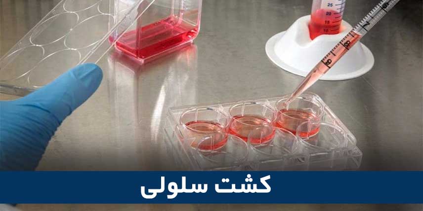 محیط کشت سلولی