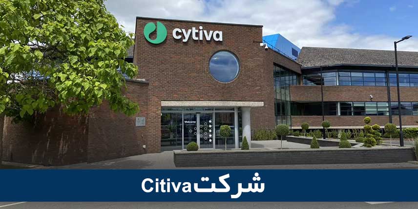 Citivaشرکت