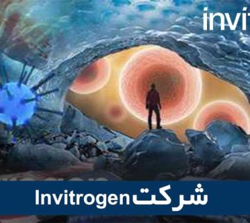 Invitrogen شرکت