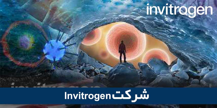 Invitrogen شرکت