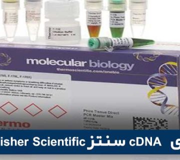 Thermo Fisher Scientificسنتز cDNA  کیت‌های