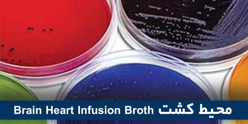 محیط کشت Brain Heart Infusion Broth