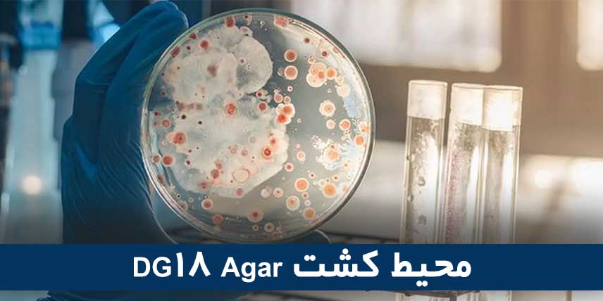 محیط کشت DG18 Agar
