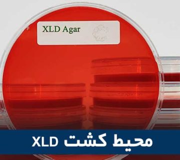 محیط کشت XLD