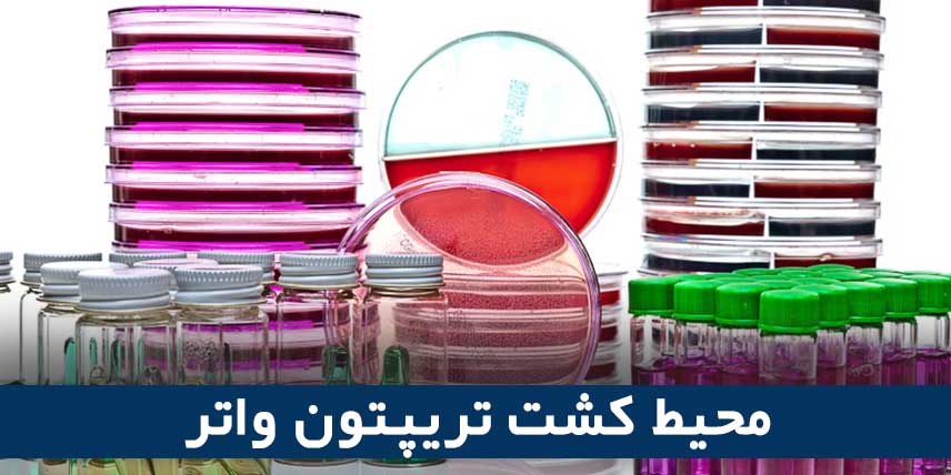 محیط کشت تریپتون واتر