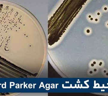 محیط کشتBaird Parker Agar