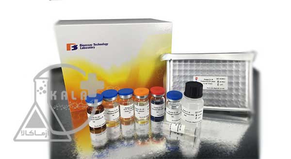کیت HCV شرکت Bt-laboratory